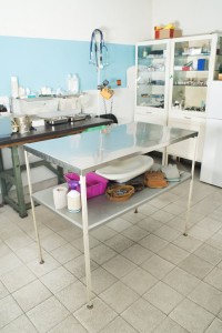 Die Dogge beim Tierarzt einschl&auml;fern lassen