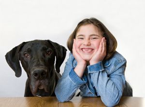 Dogge Wesen
