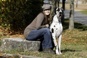 Dogge Züchter Beratung