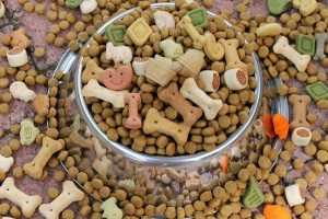Gutes Hundefutter Trockenfutter für Dogge