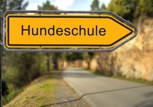Hundeschule