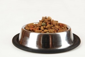 Trockenfutter für meine Dogge