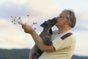 Züchter Dogge