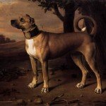 Dogge als Kammerhund