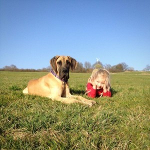 Dogge in Not wegen Kinder