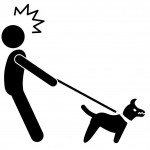 Dogge an Leine gewöhnen