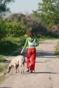 Dogge Lebensdauer verlängern