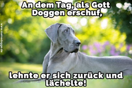 Dogge Zitate und Sprüche MeineDogge.de