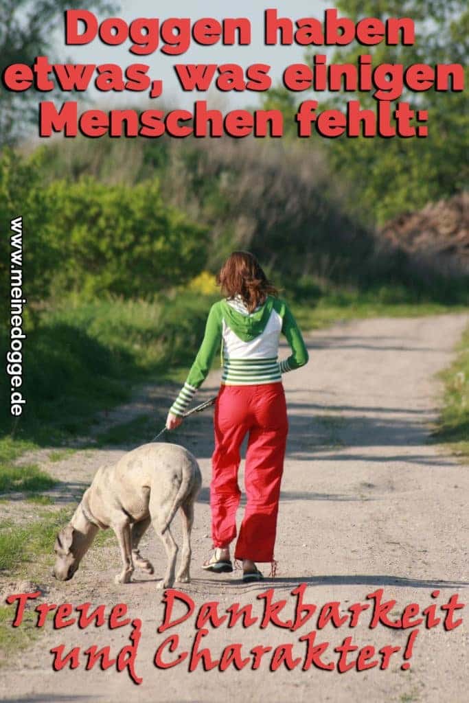 Dogge Zitate und Sprüche MeineDogge.de