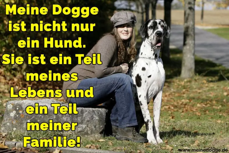 Dogge Zitate und Sprüche MeineDogge.de