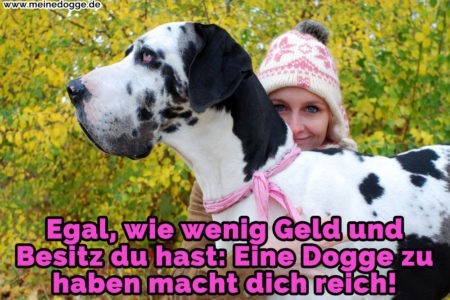 Dogge Zitate und Sprüche MeineDogge.de