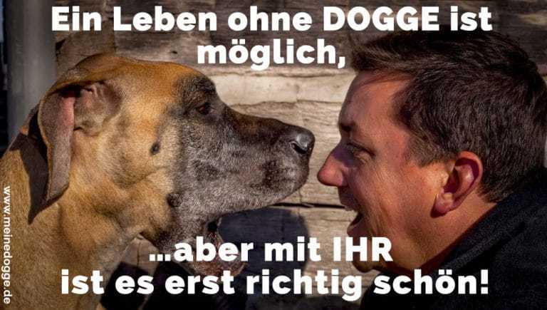 Dogge Zitate und Sprüche MeineDogge.de