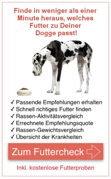 Kostenlose Futterproben Dogge