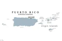 Dogge Züchter in Puerto Rico,Estado Libre Asociado de Puerto Rico Dogge Züchter in Puerto Rico,Estado Libre Asociado de Puerto Rico