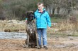 un enfant et son dogue allemand - amitié